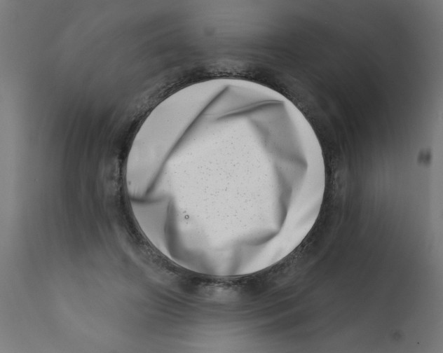 X0000113200498200910081255