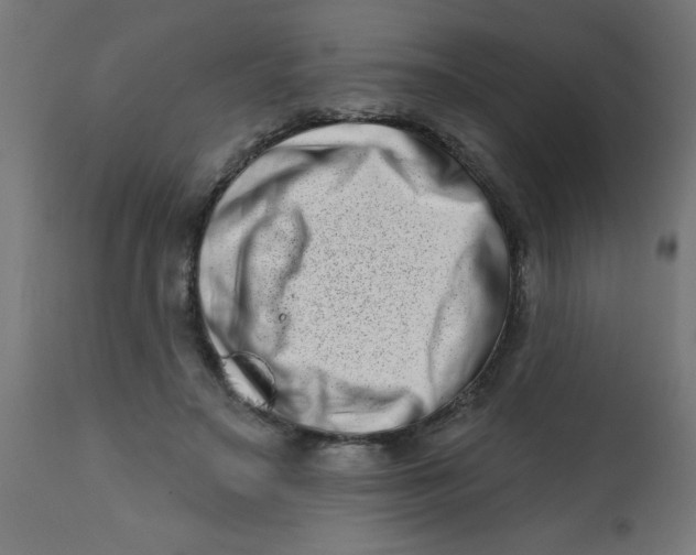 X0000113200499200910081255