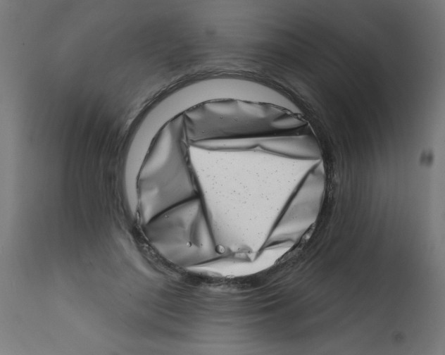 X0000113200500200910081255