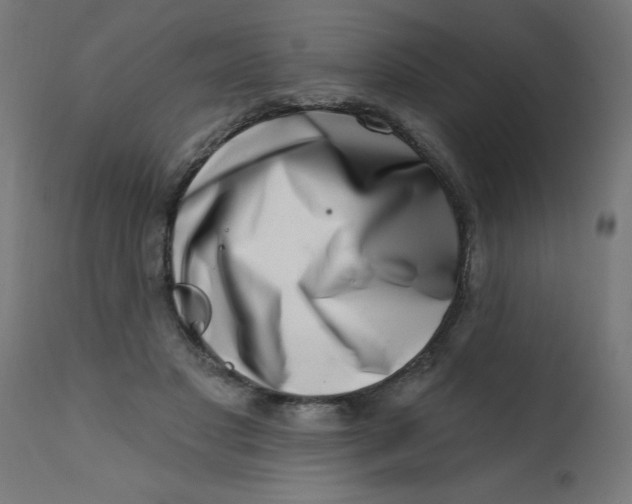 X0000113200501200910081255