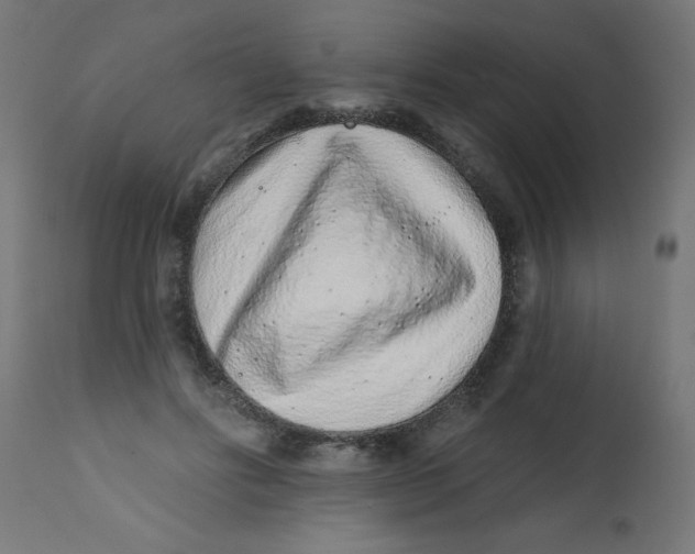 X0000113200502200910081255