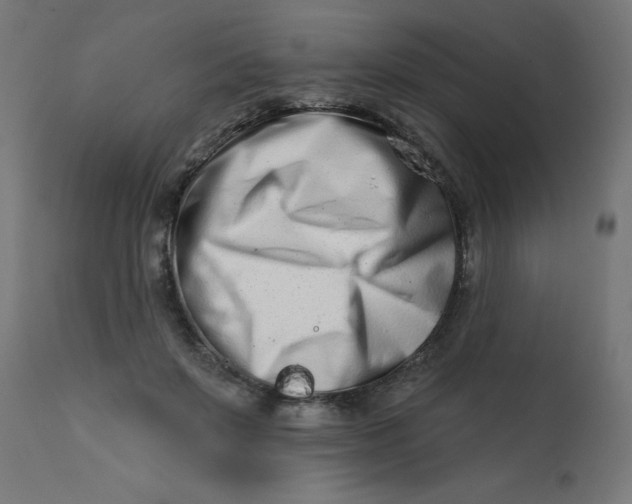 X0000113200503200910081255