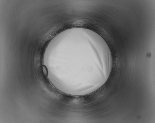 X0000113200504200910081255