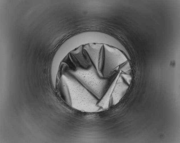 X0000113200505200910081255
