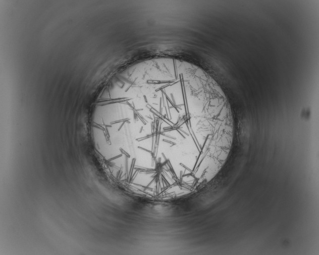 X0000113200506200910081255