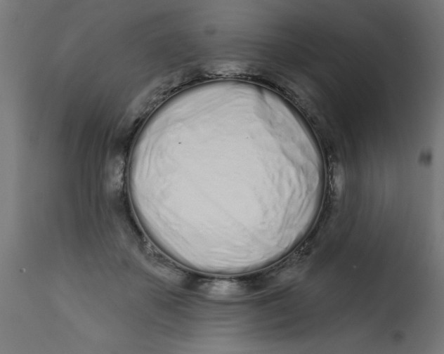 X0000113200507200910081255