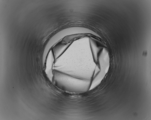 X0000113200508200910081255