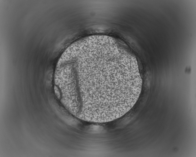 X0000113200509200910081255