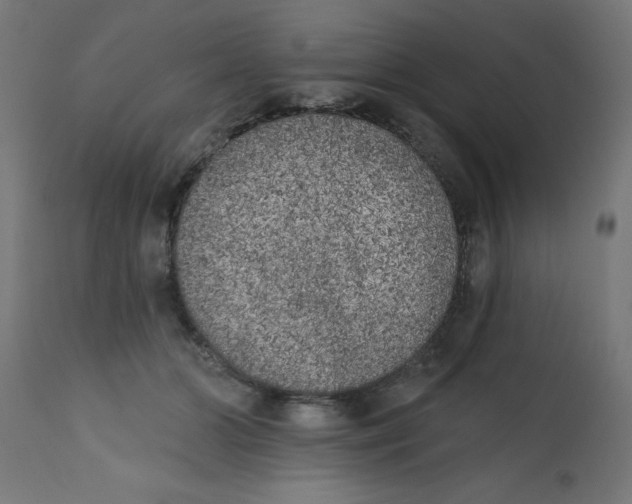 X0000113200510200910081255