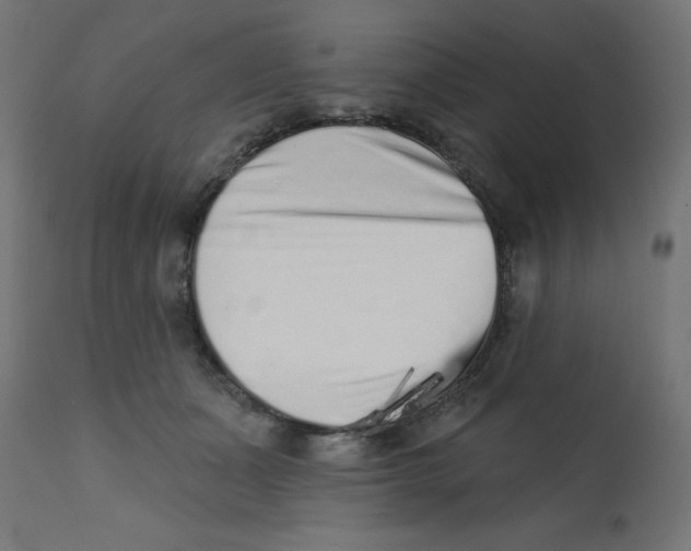 X0000113200511200910081255