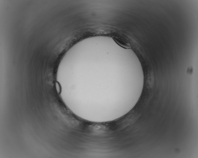 X0000113200512200910081255
