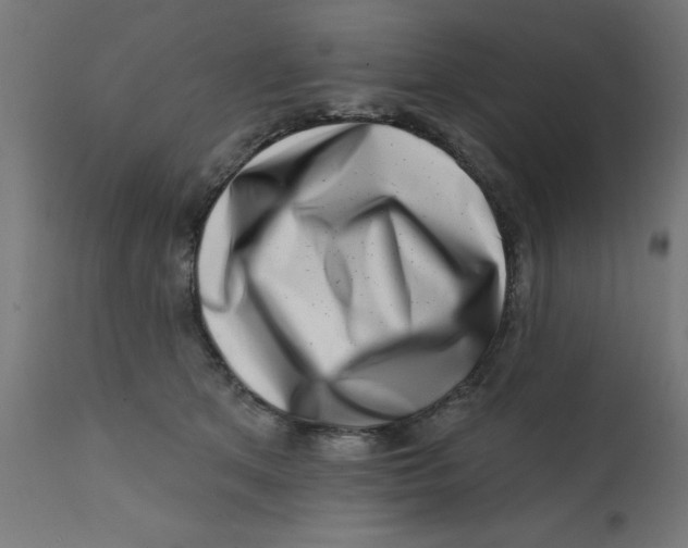 X0000113200513200910081255