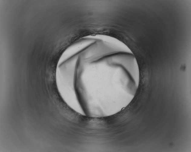 X0000113200515200910081255