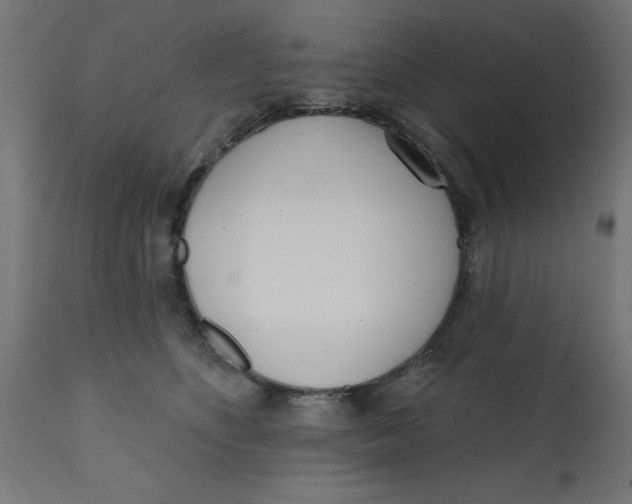 X0000113200516200910081255