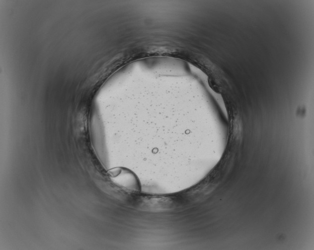 X0000113200517200910081255