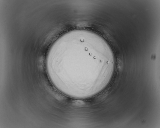 X0000113200519200910081255
