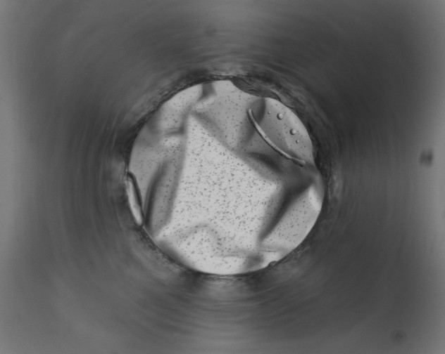 X0000113200521200910081255