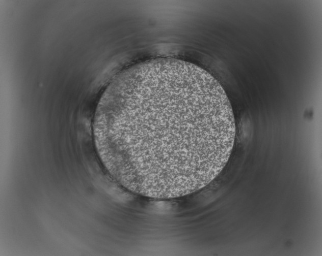 X0000113200522200910081255