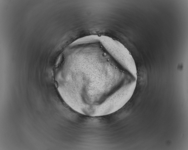 X0000113200523200910081255