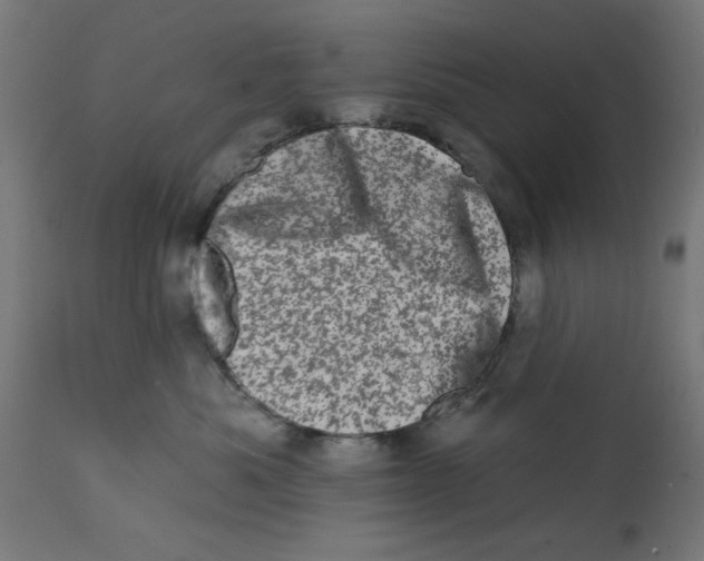 X0000113200525200910081255