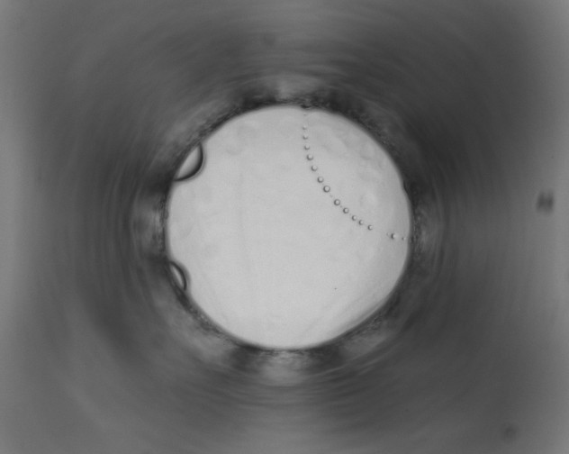X0000113200527200910081255
