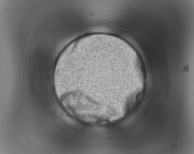 X0000113200529200910081254