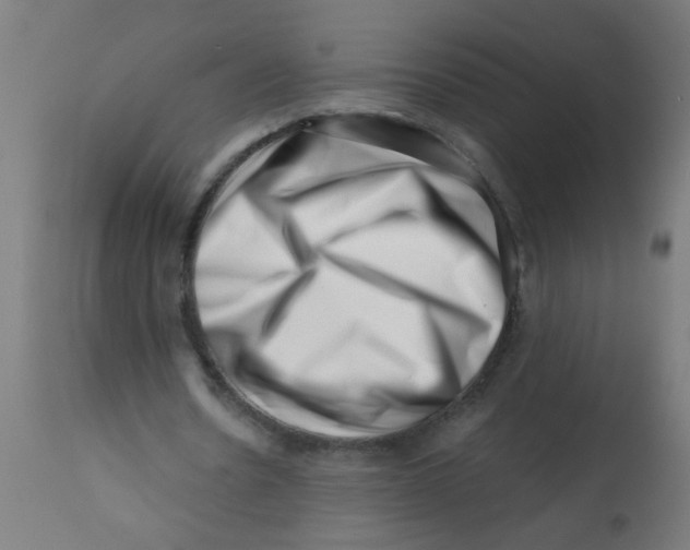 X0000113200530200910081254
