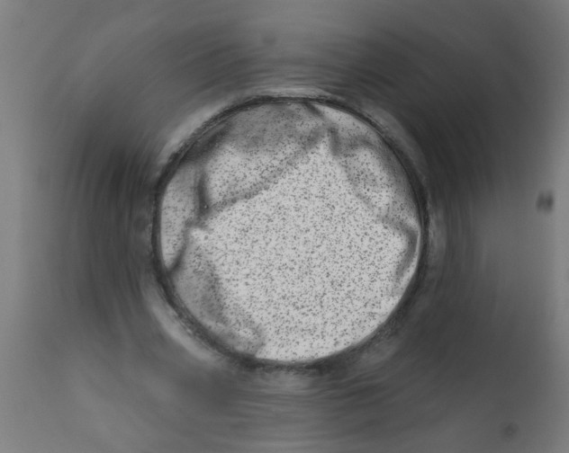 X0000113200533200910081254