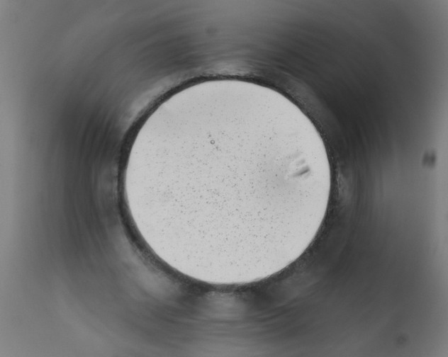 X0000113200534200910081254