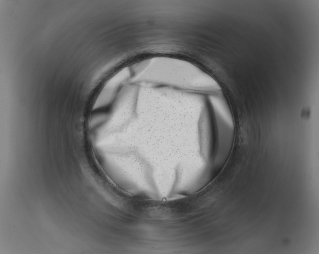 X0000113200535200910081254