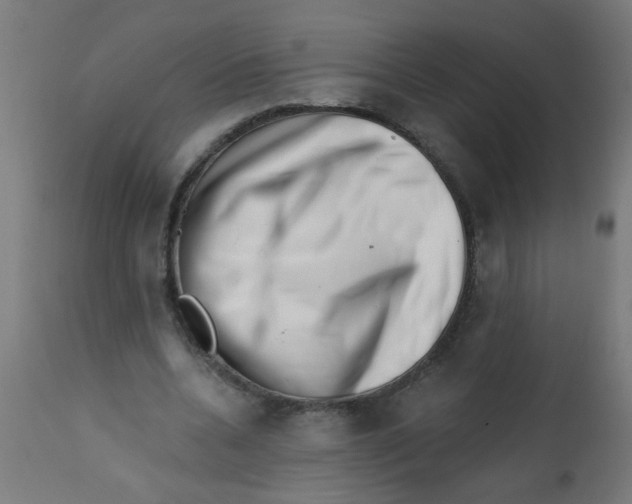 X0000113200536200910081254