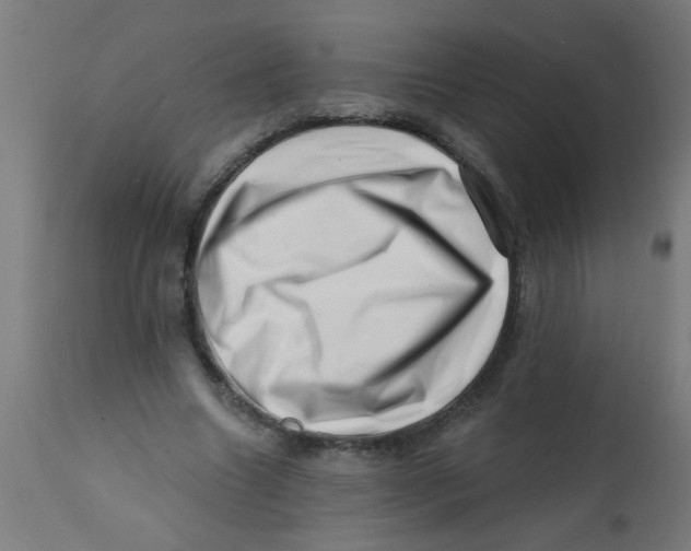 X0000113200538200910081254