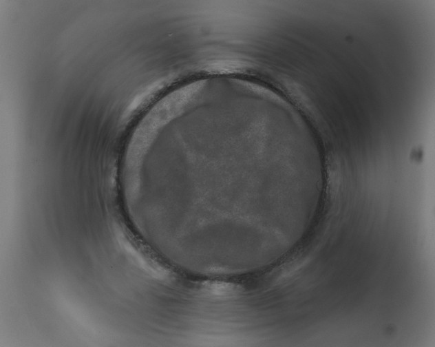 X0000113200539200910081254