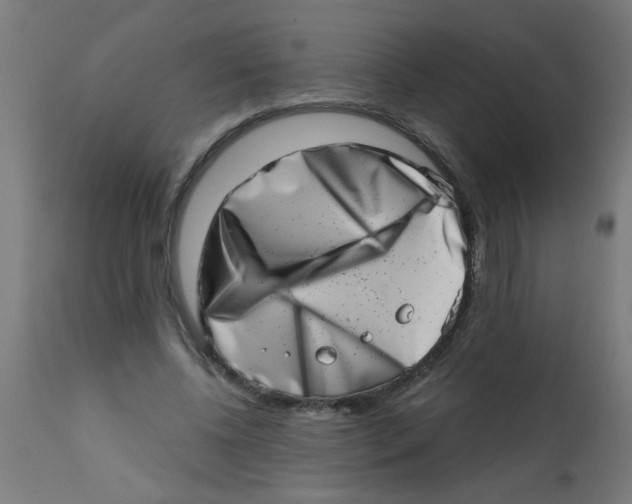 X0000113200540200910081254