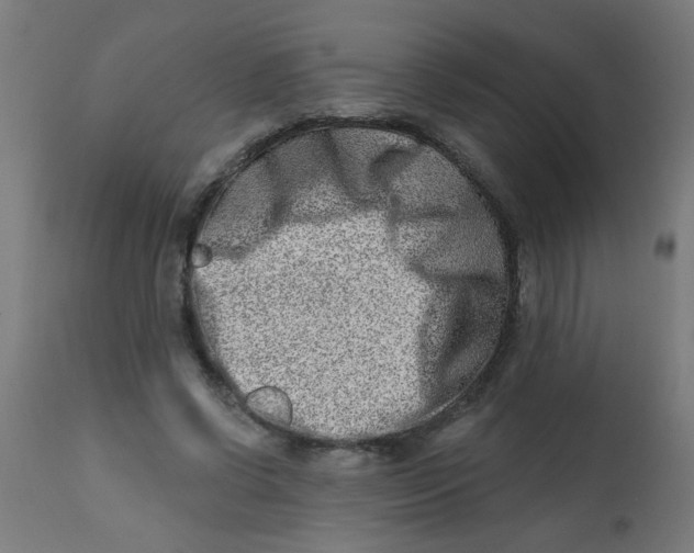 X0000113200542200910081254