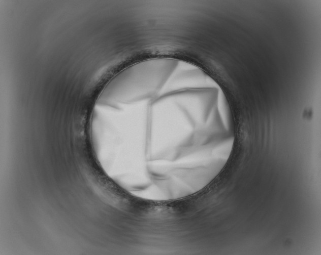 X0000113200543200910081254
