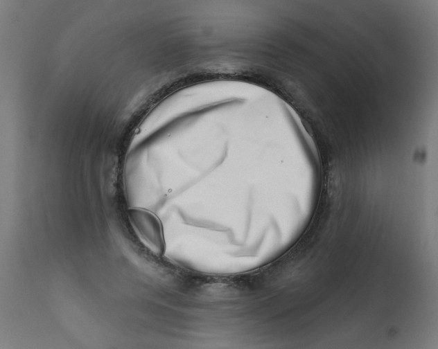 X0000113200544200910081254