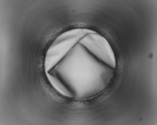 X0000113200545200910081254