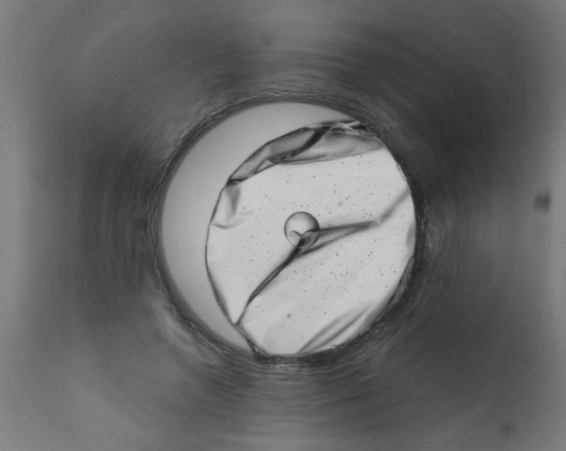 X0000113200546200910081254