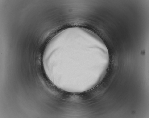 X0000113200547200910081254