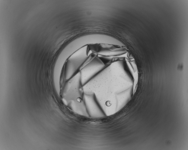 X0000113200548200910081254