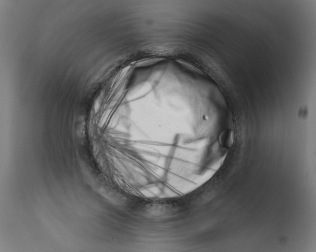 X0000113200549200910081254