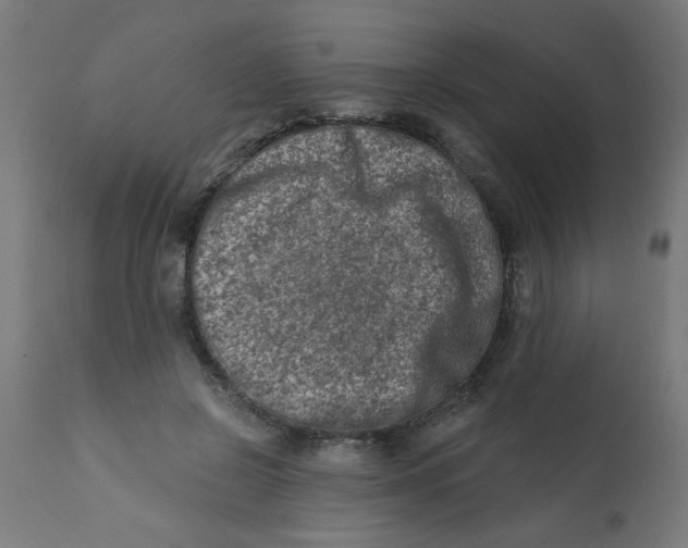 X0000113200550200910081254
