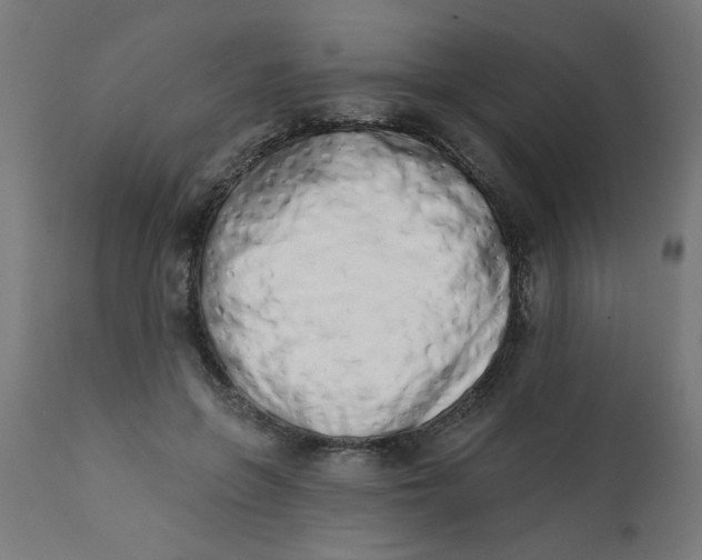 X0000113200551200910081254