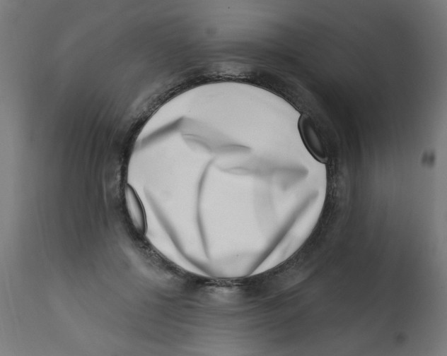 X0000113200552200910081254