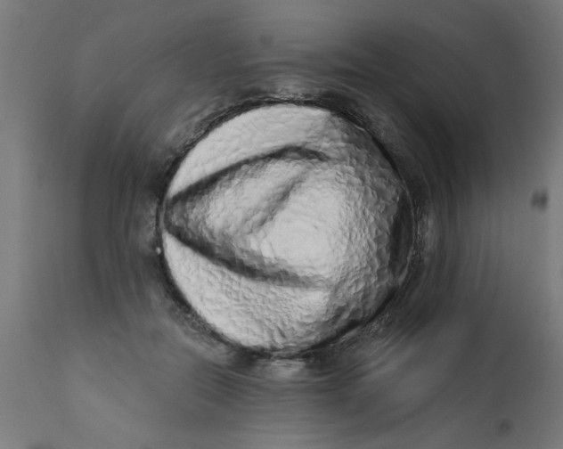 X0000113200554200910081255