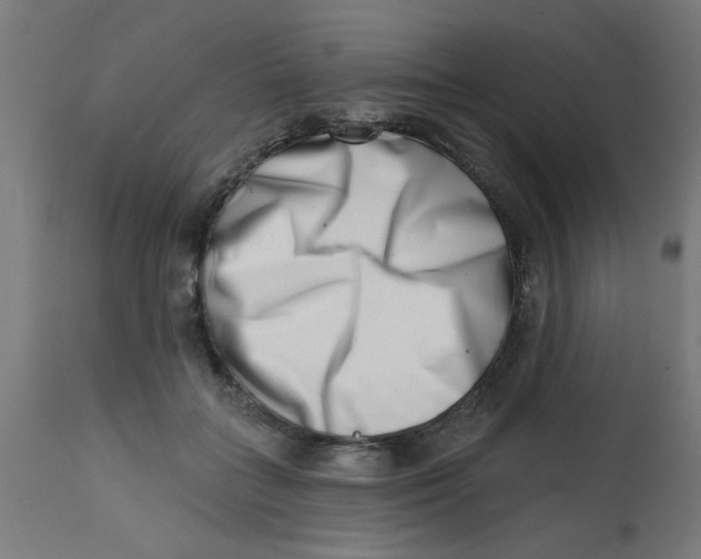 X0000113200555200910081255