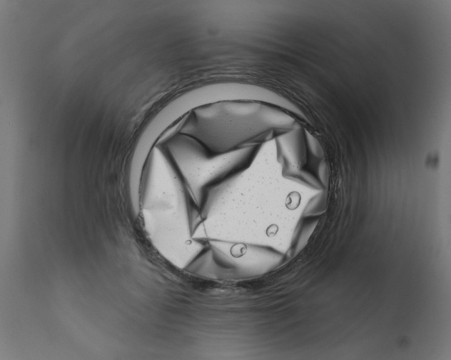 X0000113200556200910081255