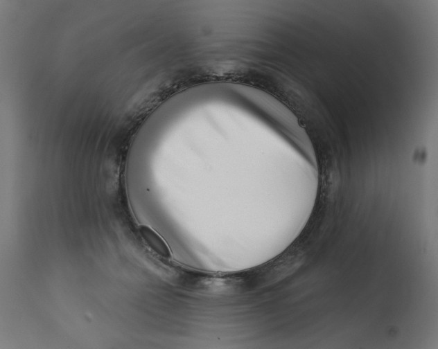 X0000113200558200910081255