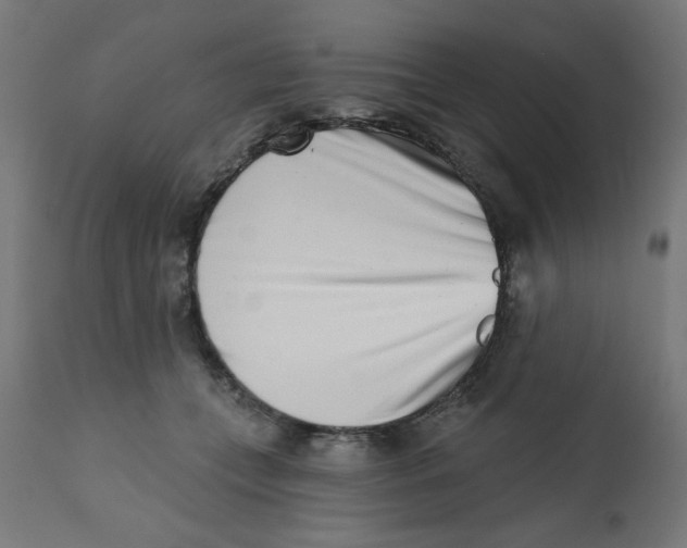 X0000113200559200910081255